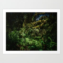 5,970' Kilimanjaro National Park Art Print