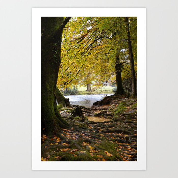 Autumn in Betws-y-coed, North Wales Art Print