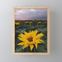 SUN BLOOM Framed Mini Art Print