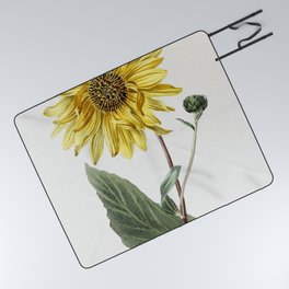 Hand Drawn Sunflower Picnic Blanket