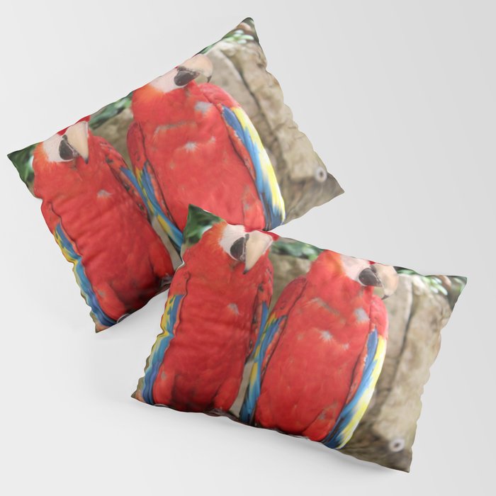 Mexico Photography - Two Red Parrots On A Branch Pillow Sham