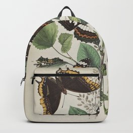 BUTTERFLIES LEPIDOPTERA Plain Tiger - Purple Emperor - Two-tailed Pasha Backpack