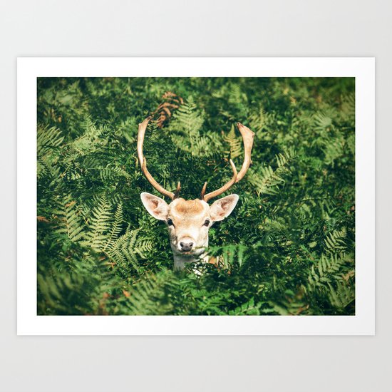 deer cerf 4 Art Print