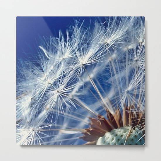 Dandelion Seeds Metal Print