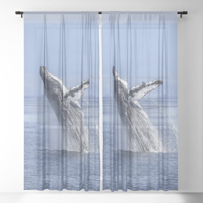 Canada Photography - Large Killer Whale Sheer Curtain