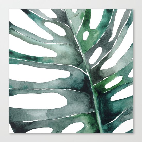 Monstera Canvas Print