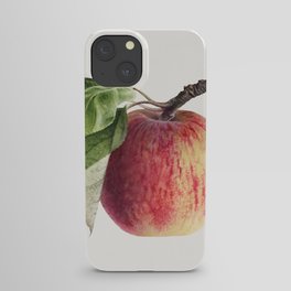 Vintage apple illustration. 3 iPhone Case