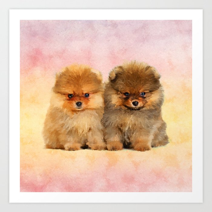 Cute Pomeranian Puppies Art Print