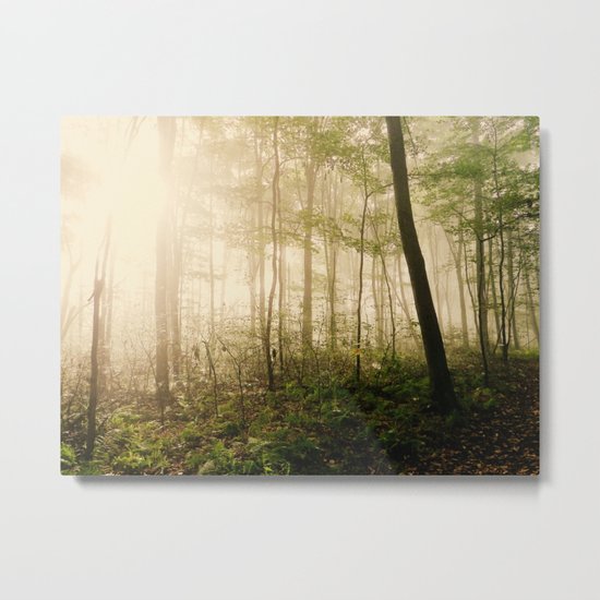 Anything Can Happen Metal Print