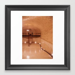 1895 Pool at the Biltmore Estate Framed Art Print