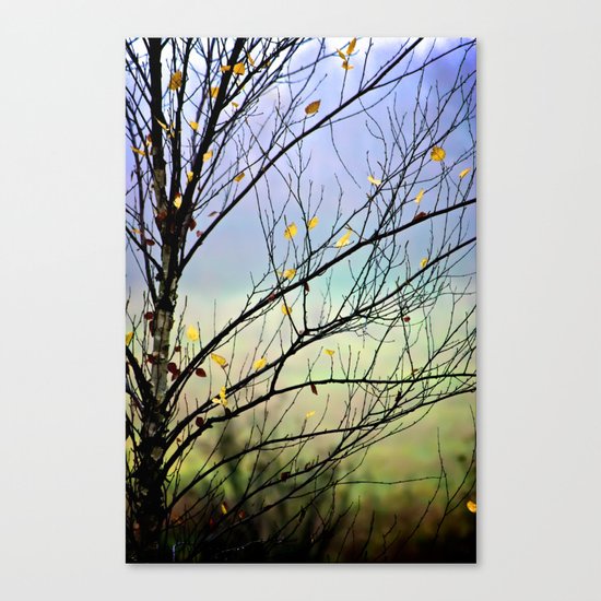 Riverbirch Canvas Print