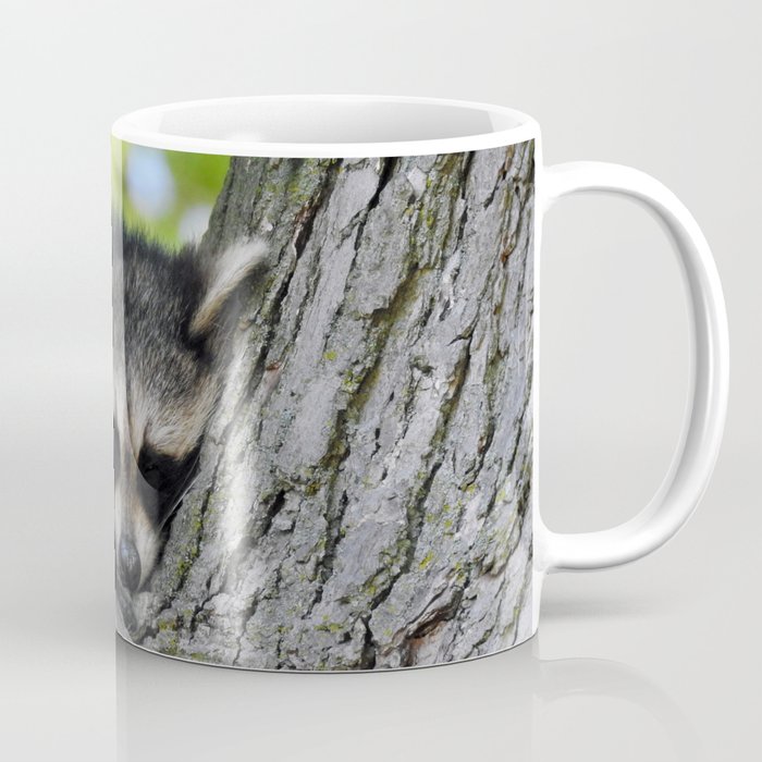 Baby Raccoon Asleep in a Tree Coffee Mug