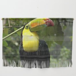 Mexico Photography - Beautiful Toucan On A Branch Wall Hanging