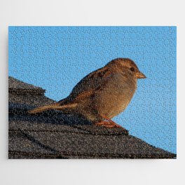 Bird Jigsaw Puzzle