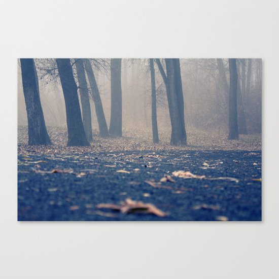 Foggy Morning Canvas Print