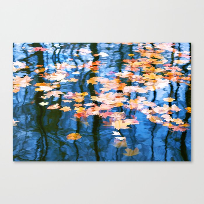 Fallen leaves in water Canvas Print