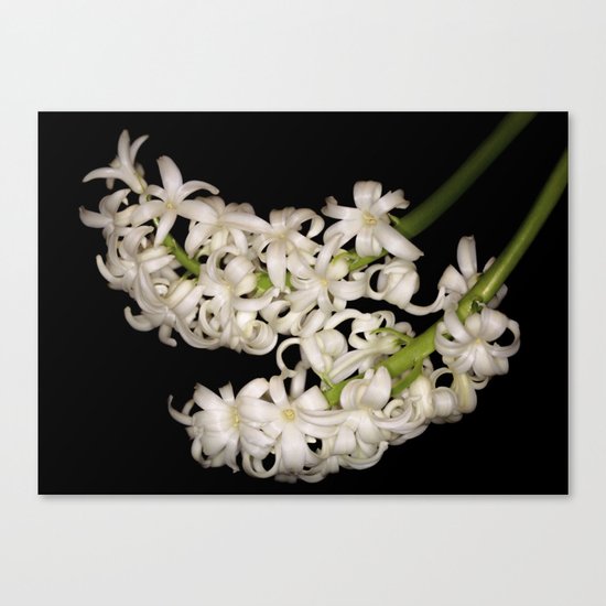 Best Friends Canvas Print