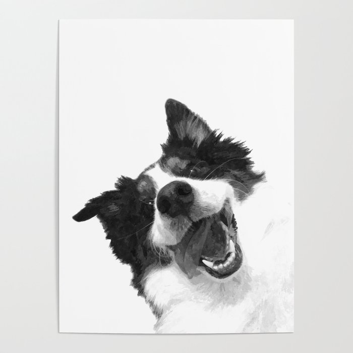 Black and White Happy Dog Poster