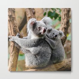 Koala mom and child Metal Print | Kid, Deco, Bebe, Photo, Zen, Happy, Animal, Drildren, Baby, Design 