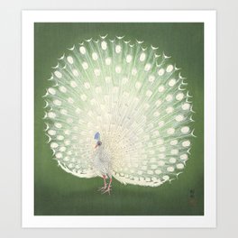 Peacock, Ohara Koson - Japanese Woodcut Art Print