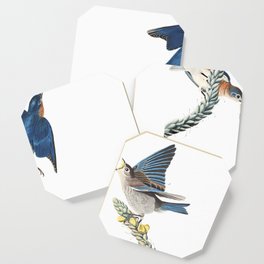 Blue bird, Birds of America, Audubon Plate 113 Coaster