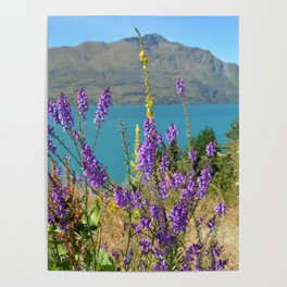 New Zealand Photography - Purple Toadflax By The Blue Water Poster