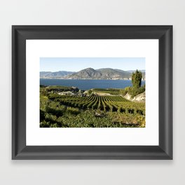 Okanagan Valley Winery Vineyard Landscape Framed Art Print