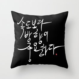 "Direction is more important than speed" Throw Pillow