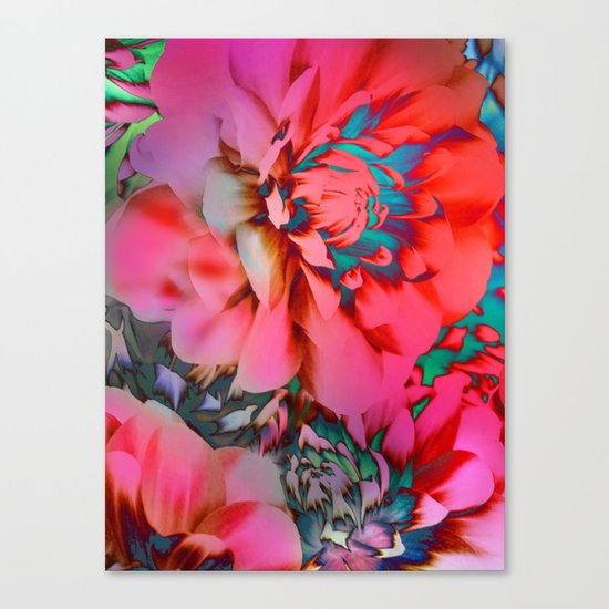 Proud Dahlias 2 Canvas Print