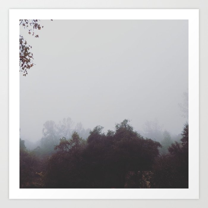 A Foggy California Art Print