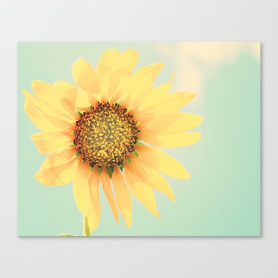 Sunflower Power Pop! Canvas Print