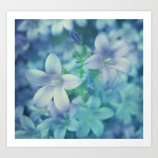 Blossom Art Print