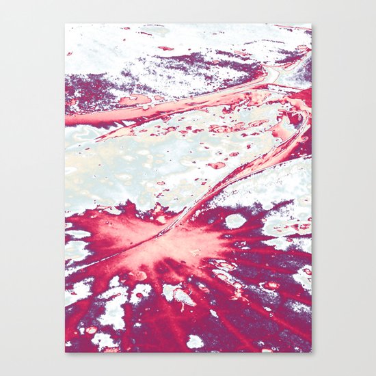 Petiole Canvas Print