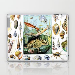 Adolphe Millot "Molluscs" Laptop Skin