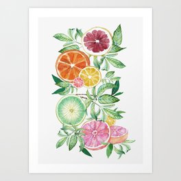 Citrus Fruit Art Print