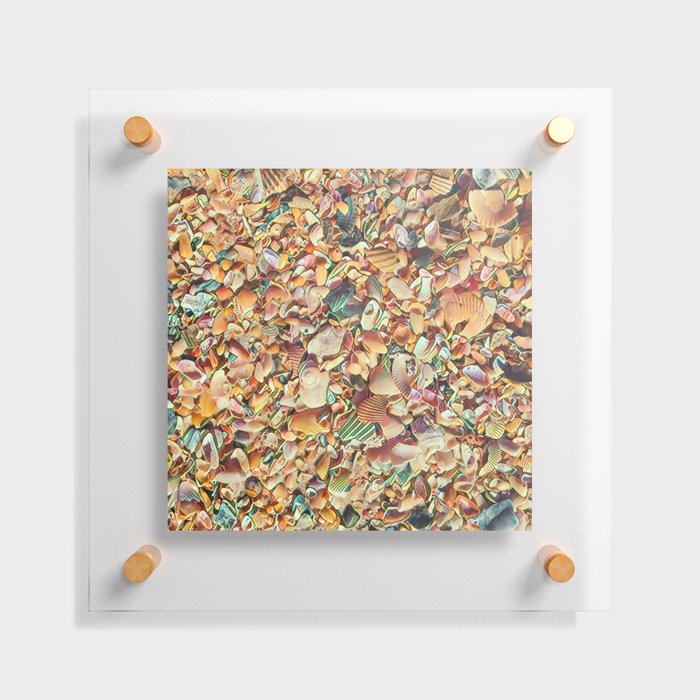 Seashell Confetti Floating Acrylic Print