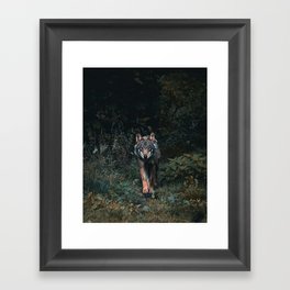 Into the Wild: Explore the Mysterious World of Wolves Framed Art Print