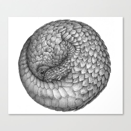The Infinite Pangolin Canvas Print