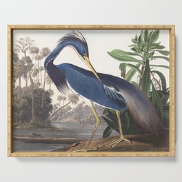 Louisiana Heron Bird Blue Yellow Painting Serving Tray