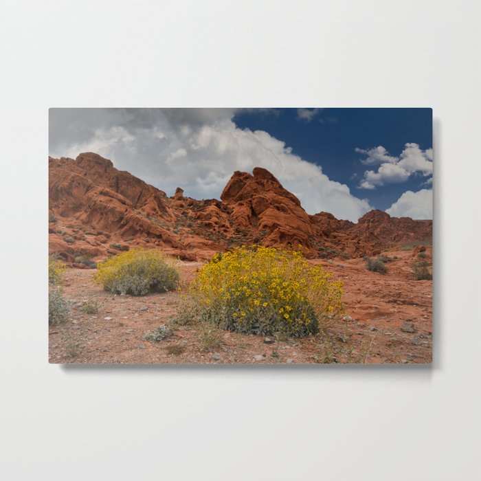 Spring Flowers 0002 - Valley of Fire State Park, Nevada Metal Print