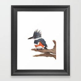Kingfisher Framed Art Print