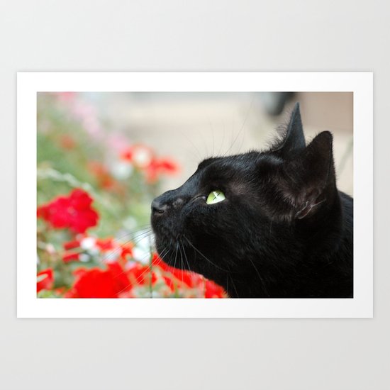 Watching Art Print