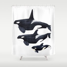 Orca (Orcinus orca) Shower Curtain
