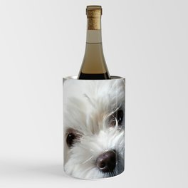 Cute Maltese asking for a treat Wine Chiller