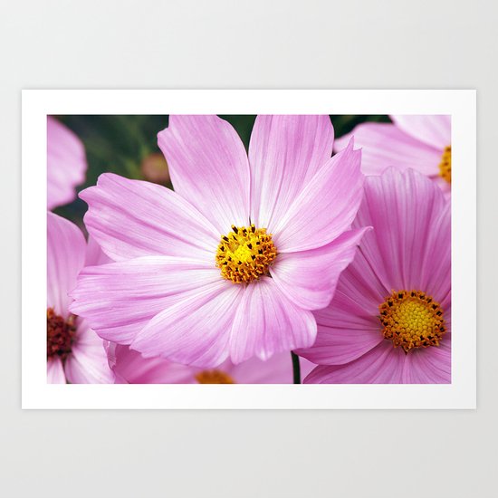 Cosmos Art Print