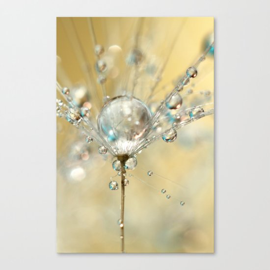 Gold & Dandy Canvas Print
