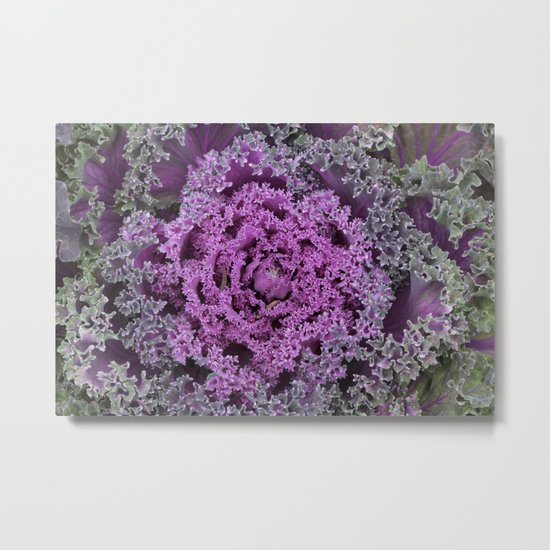 Kale Metal Print