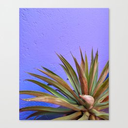 Purple Cactus Canvas Print
