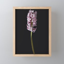 Hyacinths Framed Mini Art Print