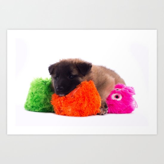 Puppy with colored toys Art Print
